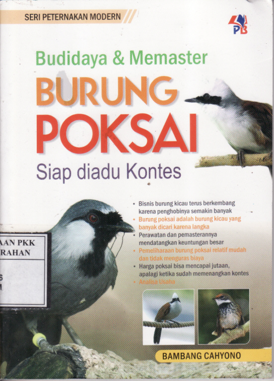Budidaya & Memaster Burung Poksai: Siap diadu Kontes